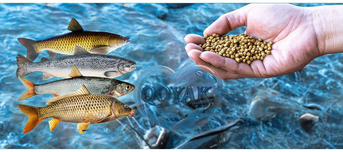 خوراک ماهیان پرورشی